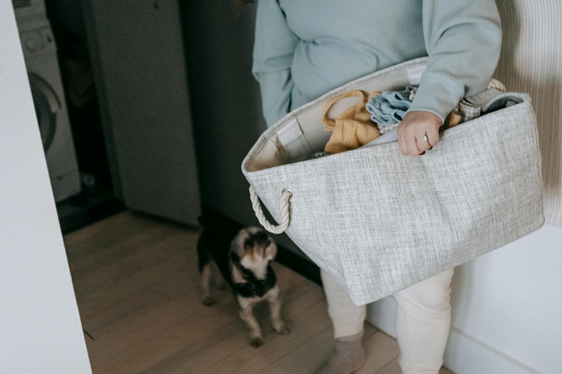 Downsizing Guide: Home Organisation for Efficient Living