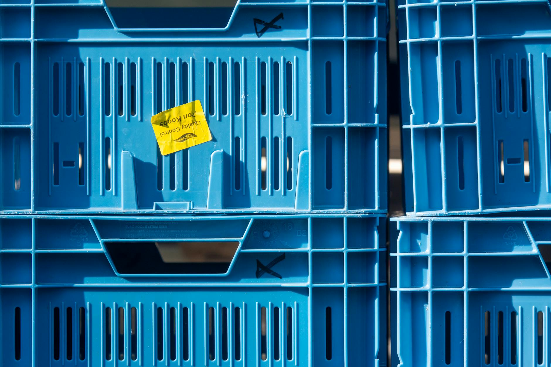 Storage Bins Guide: Which to Choose for Maximum Efficiency and Value