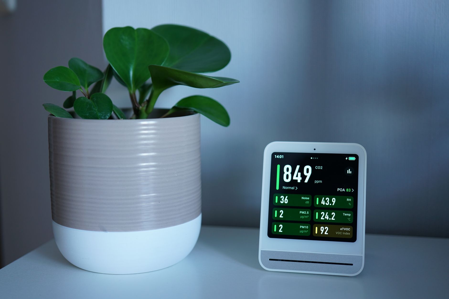 Are Air Purifiers Actually Worth the Running Costs in 2026?
