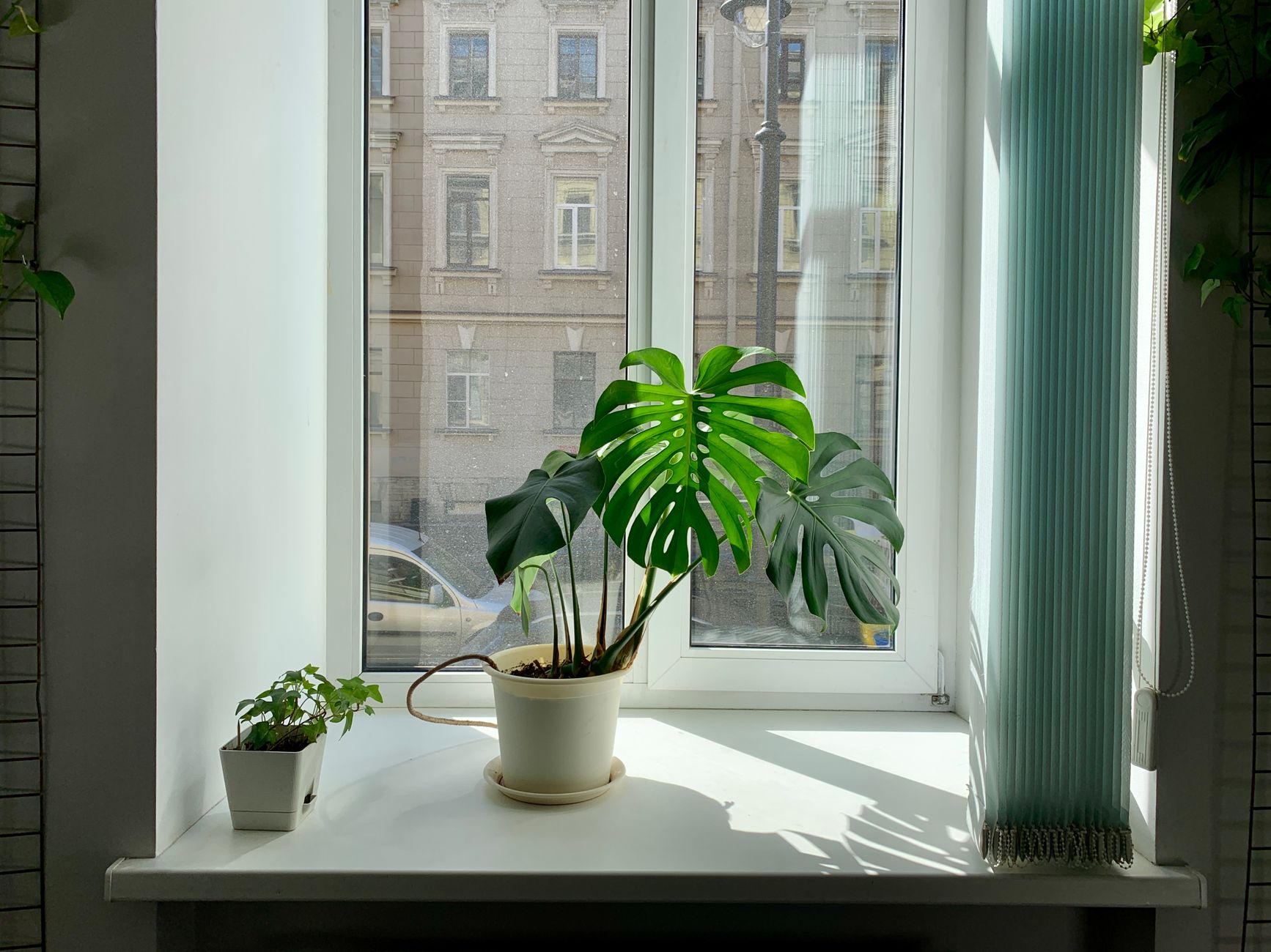 Which Air Purifiers Actually Improve Air Quality in 2026?