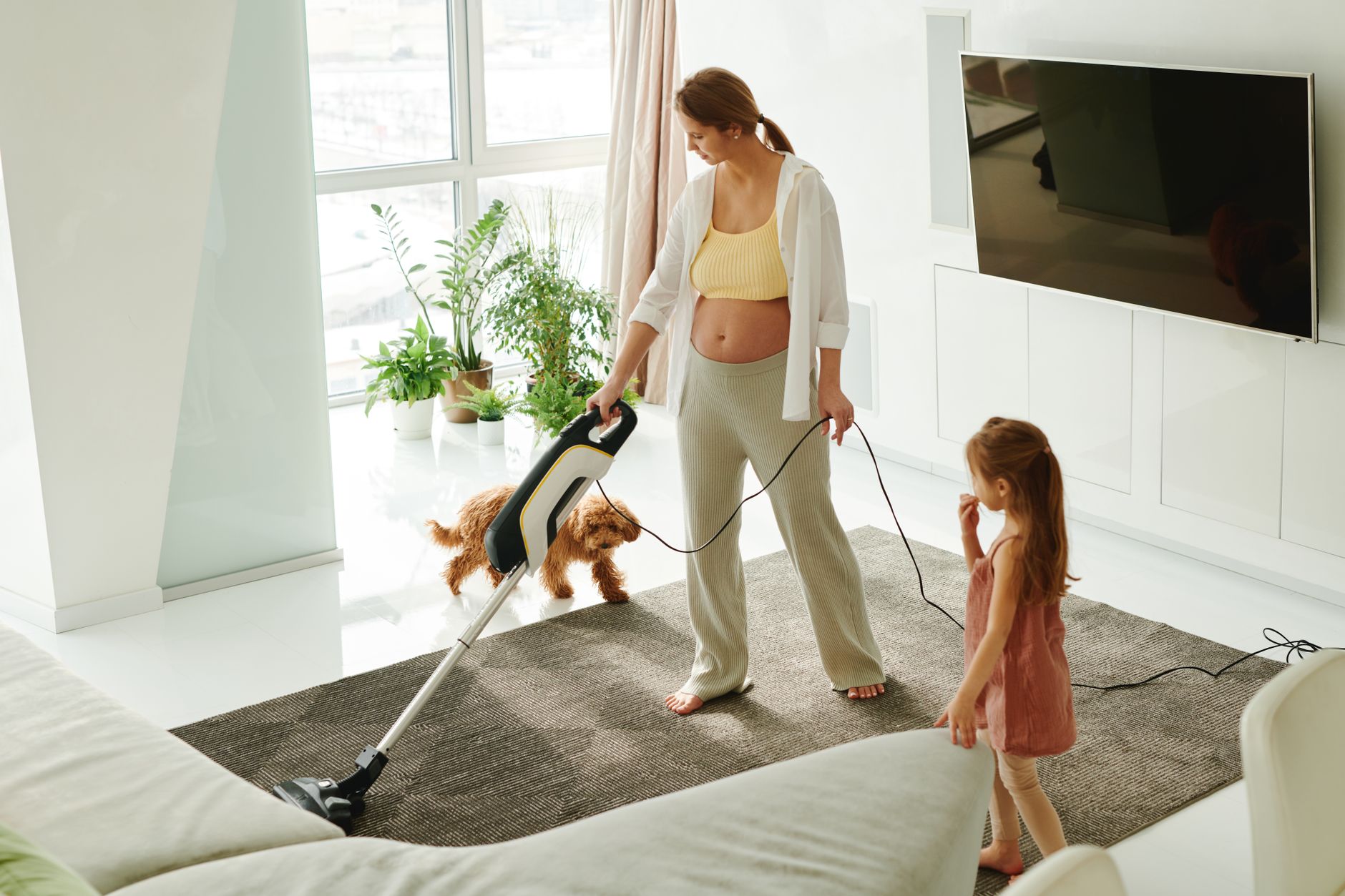 Which Upright Vacuums Are Best for Your Home in 2026?