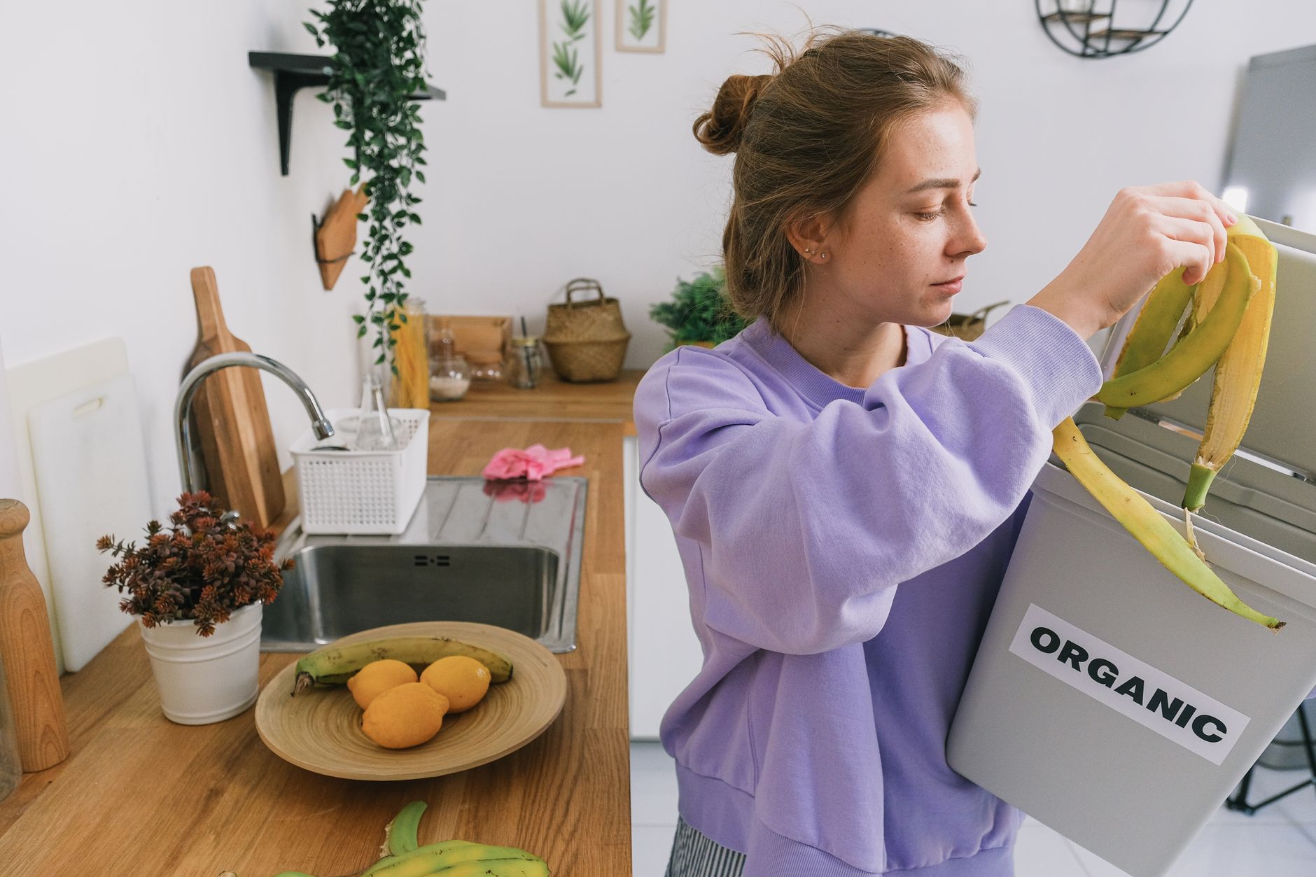 What Are the Best Kitchen Compost Bins in 2026?