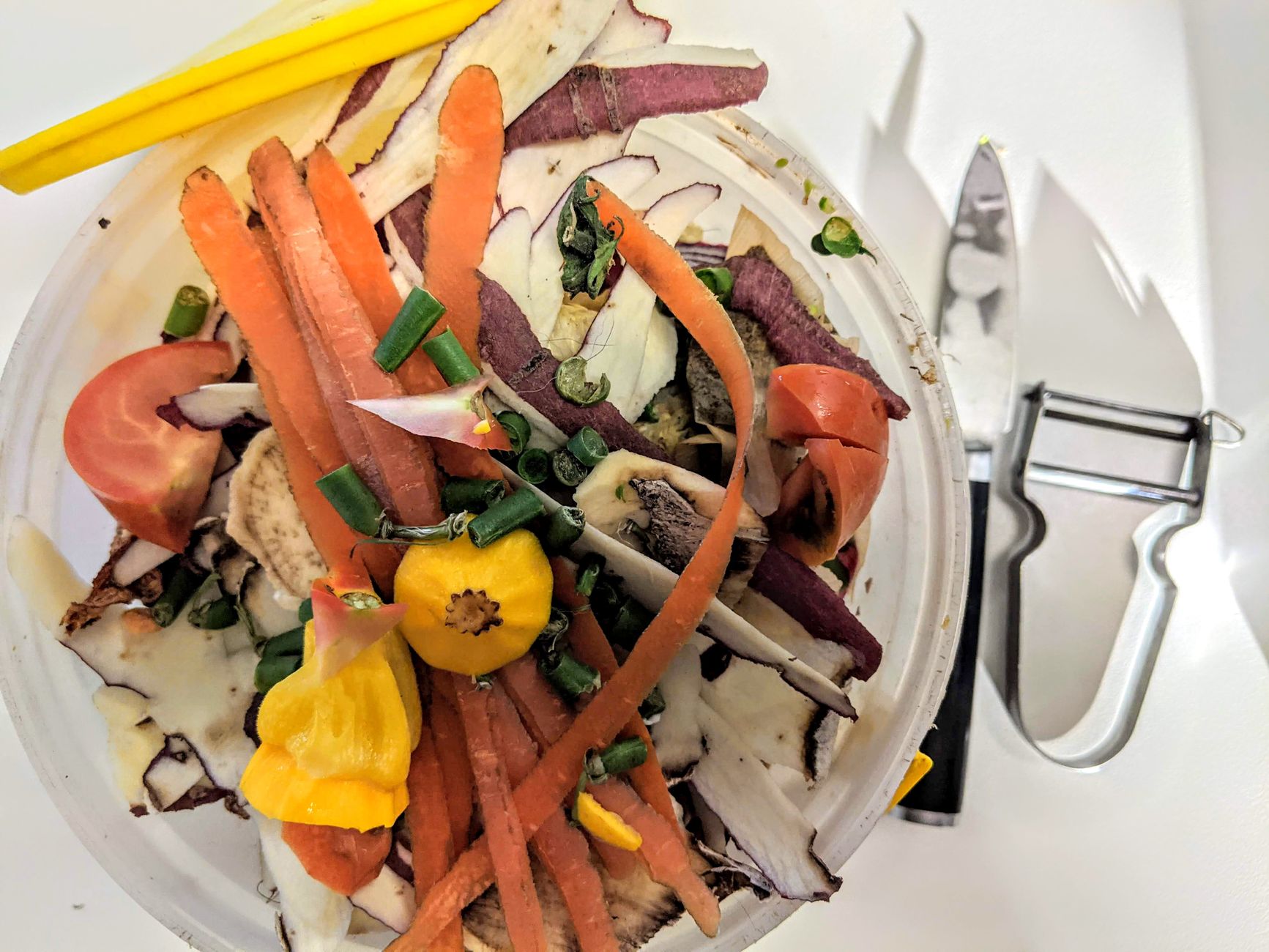 A Practical Kitchen Compost Bins Guide for 2026